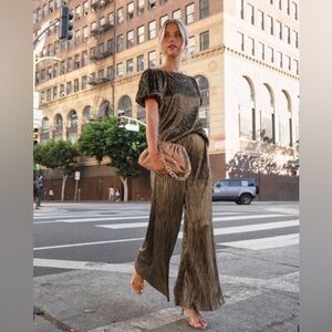 NWT VICI Disco Living Plisse Metallic Pants and Puff Sleeve Top Set